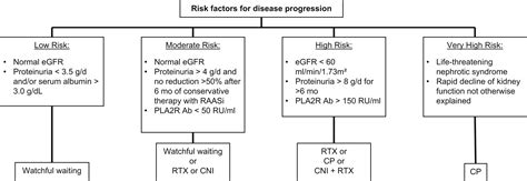 Membranous Nephropathy: Core Curriculum 2021 .
